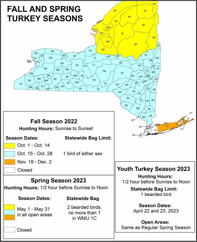 New York Turkey Hunting Seasons and Areas