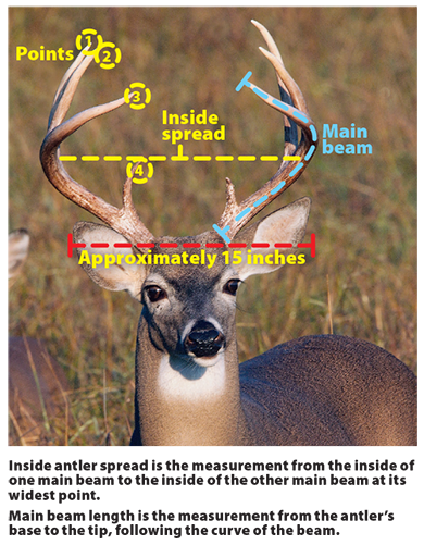 Deer Hunting Regulations