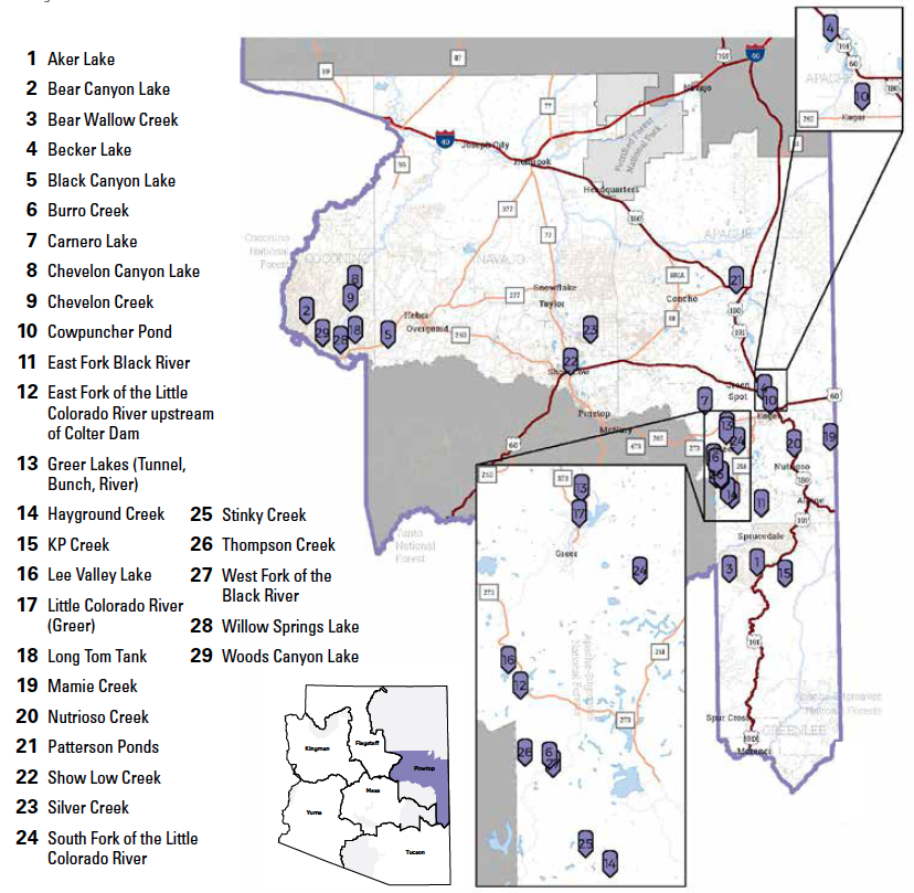 Pinetop Region