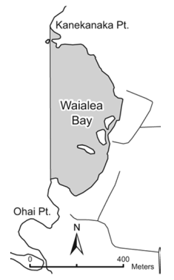 Waialea Bay