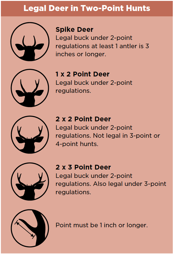 Legal Deer