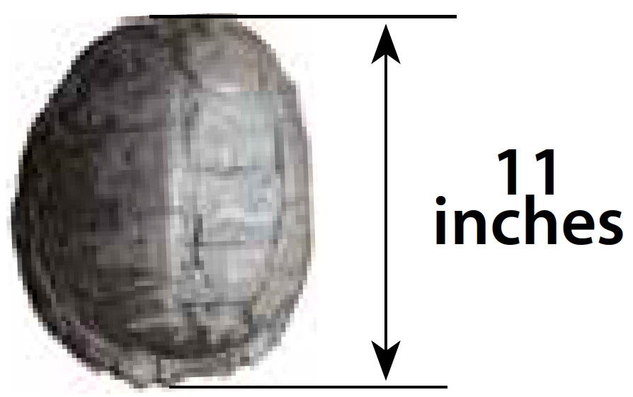 How to Measure a Straight-Line carapace length.
