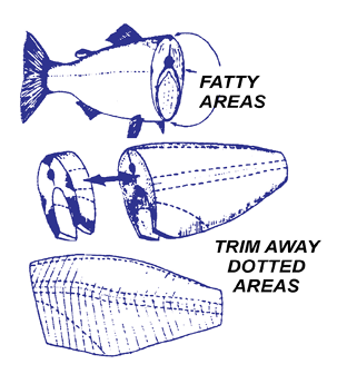 Diagram Showing How to Clean YourIllustrated diagram showing how to trim fatty areas from a fish fillet. Dotted lines mark sections to remove before cooking for cleaner, safer consumption.Fish Before Cooking for Pennsylvania Fish Consumption Advisories